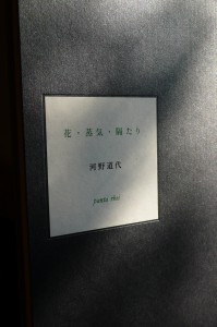 表紙 造本:平出隆